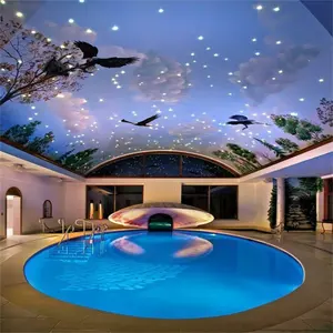 Toplu ev dekorasyonu Pvc streç mavi gökyüzü tavan filmi tasarımları yüzme havuzu tavan