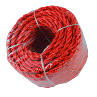 Corde en PP torsadée haute densité Danline 6mm 8mm 10mm Corde en PP tressée colorée pour l'emballage