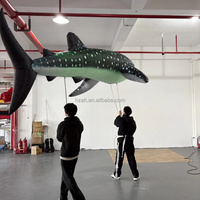 Grand ballon gonflable géant en forme de requin baleine avec lumière LED pour spectacle extérieur durable