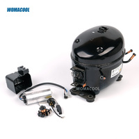 Compresseur hermétique R290 220-240V/50-60Hz KK650DU1S 1/2hp pour équipement de réfrigération commerciale