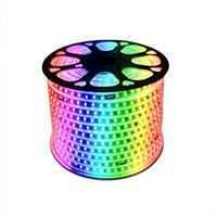 Bande lumineuse LED solaire flexible RGB à changement de couleur avec télécommande, minuterie, allumage/extinction automatique, étanche IP67, garantie 5 ans, dimmable