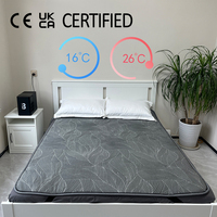 Surmatelas chauffant et rafraîchissant à circulation d'eau, système intelligent de contrôle de la température pour huit modes de sommeil, avec système de refroidissement intégré au lit