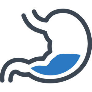 Made in Italy Food Supplement supporting gastrointestinal motility and digestion Customizable - Product Image 2