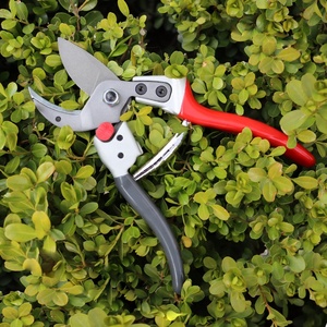 Kéo Cắt Tỉa Vườn Bằng Thép SK5, Kéo Tỉa Hoa Quả Hái Nho, Kéo Tỉa Hoa Bonsai - Product Image 5