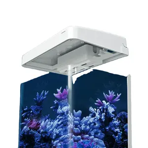 Acquario a tre colori con luce a LED a basso rumore per l'home Office Aquarium
