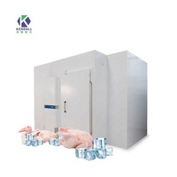 Hoge Efficiëntie Aangepaste Dimensie Vriezer Kamer 40 Ft 20ft Koude Kamer Voor Groenten Of Fruit