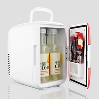 Mini-Réfrigérateur Haute Qualité à Refroidissement Rapide, 4 Litres/6 Canettes, pour Soins de la Peau, Chambre et Voiture