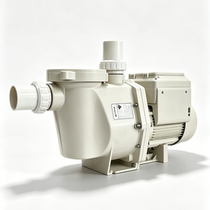 Pool Accessories Pentair Style Solar Pool Pump Intelligent <b>Timer</b> Variable Speed Pump 220V Centrifugal Pump - Product Image 1