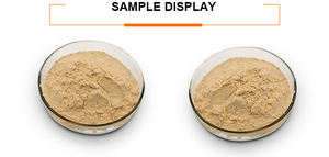 Extracto de Beta Dextranasa en Polvo, Polvo de Enzima Dextranasa - Product Image 4