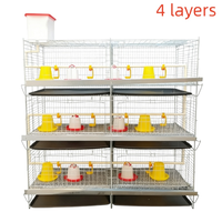 Système de cage automatique galvanisée pour cailles pondeuses, pour une aviculture efficace et une production élevée d'œufs