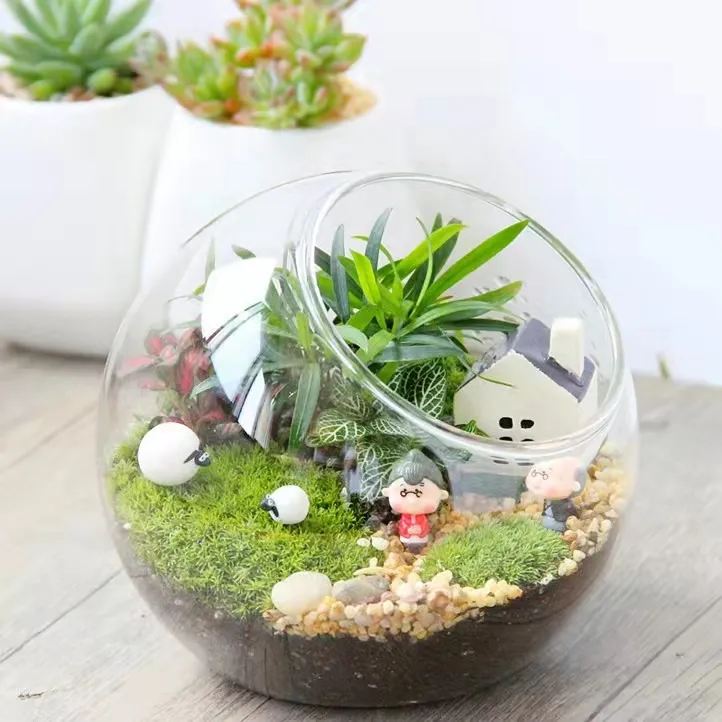 Moss micro landscape ecological glass vase home decor size round glass bottle inclined mouth hydroponic container