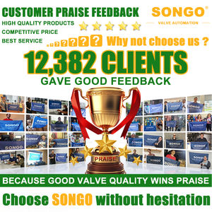 DN32 ANSI 150lb EPDM Резиновое сиденье вафельного типа из ковкого чугуна ss316, пневматический привод двойного действия, зажим, переносной Клапан-Бабочка - Product Image 3