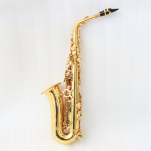 แซ็กโซโฟนโปรแซกโซโฟน,แซกโซโฟน <span class=keywords><strong>Yanagisawa</strong></span> Saxophone สีทองเคลือบแล็คเกอร์อัลโตแซกโซโฟน - Product Image 2