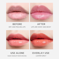 Vente en gros d'huile à lèvres transparente hydratante teintée en 6 saveurs, gloss à lèvres mignon, rouge à lèvres liquide longue durée, imperméable
