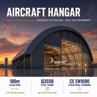 Hangar d'aviation en structure acier sur mesure pour le stationnement d'avions, le stockage aéroportuaire et l'atelier de maintenance