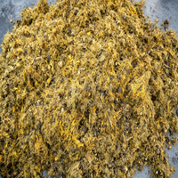1-15TPD Dubbele Schroef Palmoliepers FFB Olieverwerkingsapparatuur Palmvruchtenpersmachine De Pers à Huile De Palme Op Voorraad