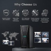 Servidor Torre HPE ProLiant ML110 Gen11 Nuevo, con un Solo Socket, Procesador Intel Xeon Escalable, 16GB de RAM, para Banco de Datos y Estación de Trabajo