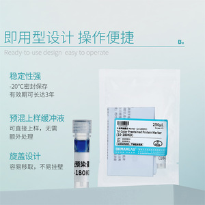 Marcador de Proteínas Preestablecido Bikman Bio Tricolor 10-250KD para Electroforesis - Product Image 5