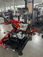 Machine de gymnastique chargée par plaque d'utilisation commerciale couleurs personnalisées extension du dos musculation pour Abs
