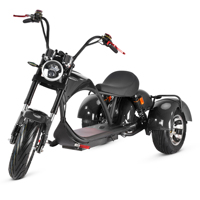 Yeni moda 3 tekerlekli 2000W moda kıyıcı modeli M3 Trike hızlı hızlı elektrikli scooter yetişkin Citycoco elektrikli üç tekerlekli bisiklet