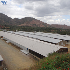 Trung Quốc Tự Động Gà Thịt Đúc Sẵn Gia Cầm Nhà Cấu Trúc Thép Xây Dựng Gà Trang Trại Xây Dựng - Product Image 3