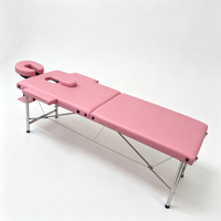 Table de massage pliable portable en 2 sections, cadre en acier inoxydable, mobilier professionnel pour spa et salon de beauté
