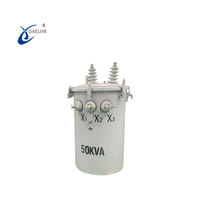 Transformateur de puissance toroïdal monophasé monté sur poteau 20 25 45 150 Kva 15 Kv, marque Daelim, pour utilisation en distribution 480V 220V