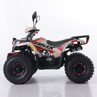 Tao Motor 2024 nouveau ATV 125 pas cher chinois automatique chaîne entraînement ferme ATV 125cc ATV