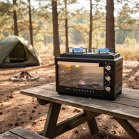 Service OEM Cuisinière et four à gaz GPL 30L Utilisation domestique Cuisson Pomme de terre au four Camping en plein air Réchauds à gaz avec four à gaz