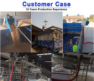 Roestvrijstalen Schroeftransporteur Met Hittebestendige Rubberen Riem Gebruikt Voor Zandvoedingsdrankenindustrie Voor Restaurants Retail - Product Image 6