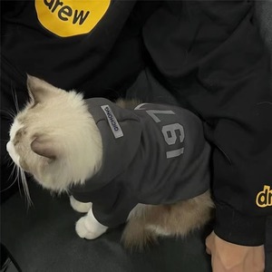 เสื้อผ้าสำหรับแมวป้องกันขนร่วงและน่ารัก เหมาะสำหรับแมวแร็กดอล แมวสีฟ้า ลูกแมวบริติชชอร์ตแฮร์ และสัตว์เลี้ยงอื่นๆ - Product Image 5