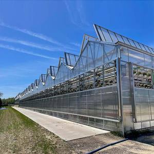 VenloタイプマルチスパンPC温室-低コスト安定した農業用ポリカーボネート、野菜栽培用大型スパン - Product Image 1