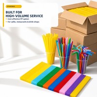Pailles compostables PLA personnalisées, droites, couleur naturelle, pour restaurant éco-responsable, marque durable, biodégradable