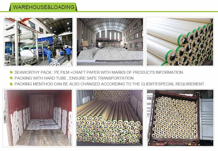 Flex Banner for Advertising PVC Material 440gsm 300D*500D 18*12 Flex Banner Rolls