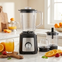 700W Brazil Turbo Knop 3 Snelheden Roestvrij Staal Pureer Fruit Blender Mixer Sapcentrifuge Hoge Vermogen Voedselverwerker IJs