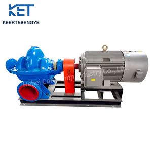 Pompe centrifuge à double aspiration en fonte robuste et économe en énergie, idéale pour la circulation d'irrigation et le drainage industriel. - Product Image 4