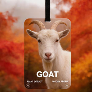 Diffuseur de parfum en papier Goatswoody – Extrait végétal naturel, longue durée, élimination des odeurs pour <span class=keywords><strong>voiture</strong></span> et placard - Product Image 1