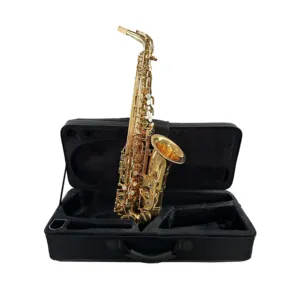 SAE SOUND OEM Professional Gold Altsaxophon Für Musiker JYAS102P