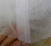 Couvertures végétales en tissu non tissé Couvertures de protection des plantes Couverture agricole