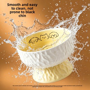 Gamelle surélevée en céramique <span class=keywords><strong>pour</strong></span> chat, anti-renversement, protection du cou, <span class=keywords><strong>pour</strong></span> nourriture, eau et friandises, mangeoire ergonomique surélevée <span class=keywords><strong>pour</strong></span> animaux de compagnie - Product Image 2