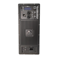 2023 modul Amplifier pelat Digital High-end desain baru dengan Bluetooth & DSP untuk Speaker Aktif