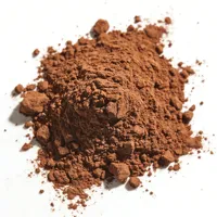 Mélange pour crème glacée au chocolat et cacao, base polyvalente pour glaces molles, idéal pour cornets, coupes et tranches, service OEM/ODM, économique