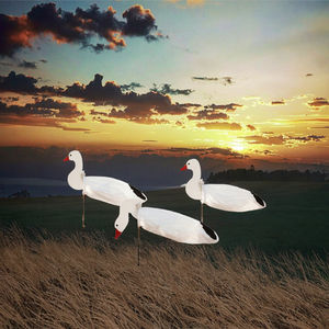 Gänse-Attrappen EVA Realistische Jagd-Windsack-Attrappen Set Stabile Bodenpfähle Antireflektierende Matte Körper 12 Stück auf Lager - Product Image 3