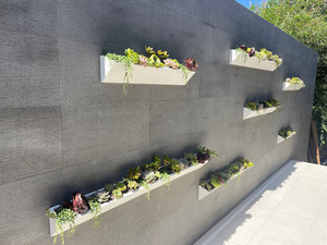 Maceta suculenta larga y moderna para jardín interior y exterior, caja suculenta, maceta <span class=keywords><strong>de</strong></span> pared <span class=keywords><strong>de</strong></span> <span class=keywords><strong>madera</strong></span> Extra larga, 202407 - Product Image 6