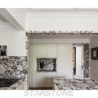 Îlot de cuisine de luxe en quartzite Taj Mahal, plan de travail en pierre de quartzite naturelle pour villa et appartement
