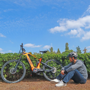 Bicicletta Elettrica <span class=keywords><strong>LOKI</strong></span> 29er MTB in Fibra di Carbonio, Peso 25,5 KG, Motore Centrale Bafang M510 M600 - Product Image 3