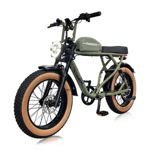 Electric Cycles for Men CE Certification EU US Fast 1000W 500W Electric Bicycle