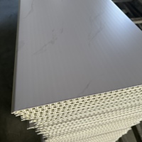 Panneaux muraux intérieurs modernes en PVC Revêtement de plafond imperméable pour la maison Collection de panneaux muraux ignifuges décoratifs