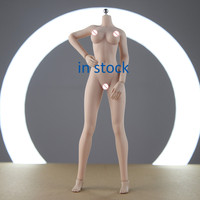 Modelo moldeado personalizado de alta calidad y colección, figura de acción Original de PVC para chica