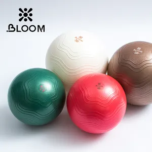 20cm PVC Home Workout Fitness Wholesale Exercise Inflatable Soft Mini Pilates Small Yoga Ball